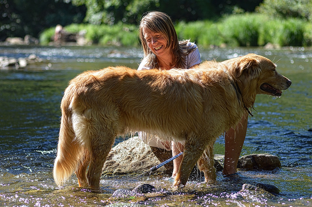 Tips for Keeping Your Pet Calm During Grooming